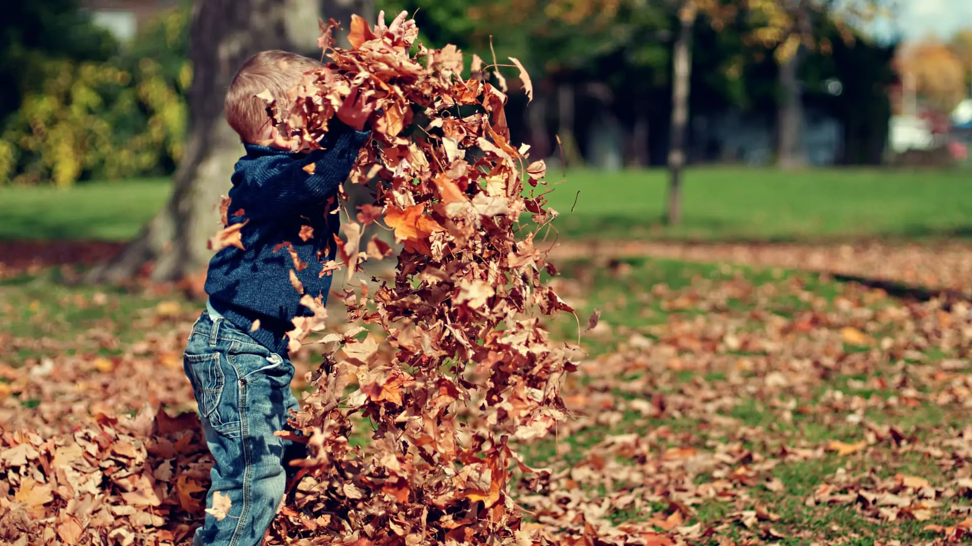 Enfant automne